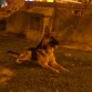 como siempre observando todo!!